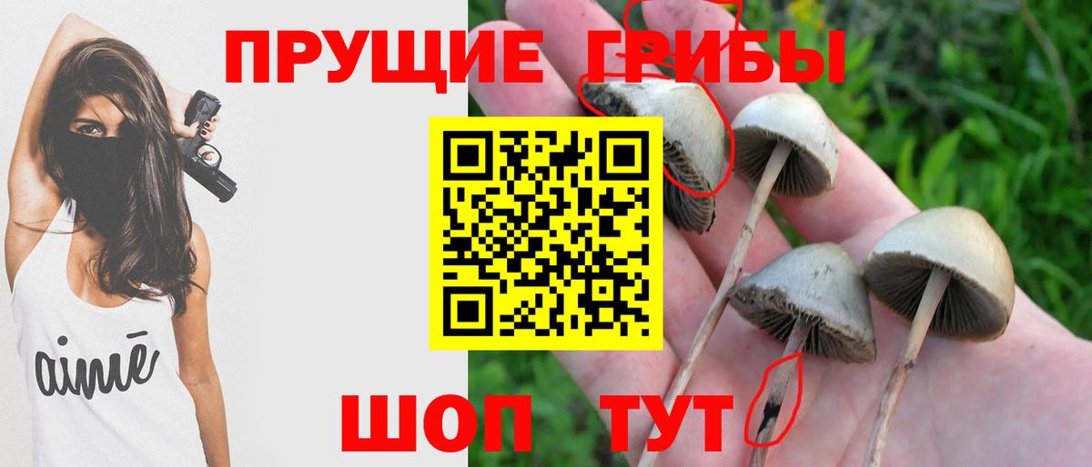 Дедовск  Галлюциногенные грибы мухоморы  Вход с VPN 
